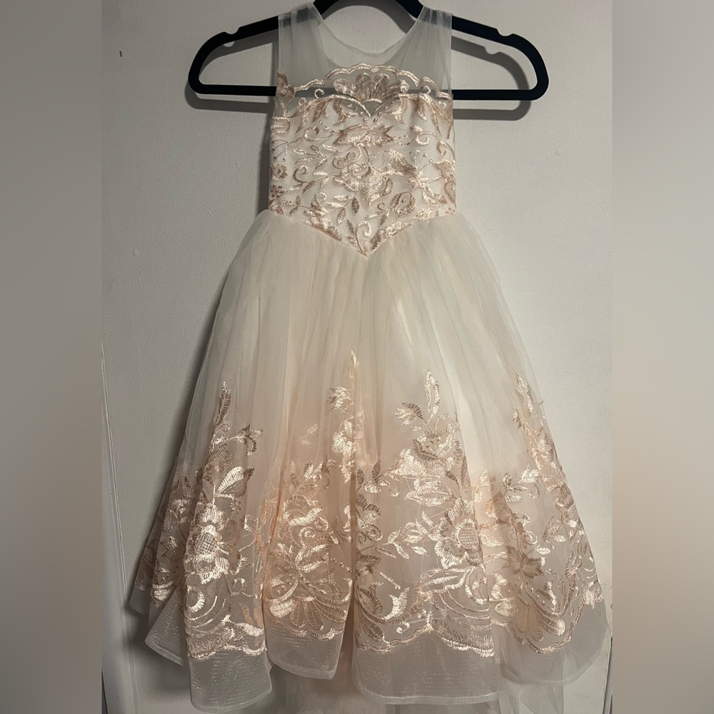 Elegant Cream and Peach Gold Floral Gown - Picture 3 of 12